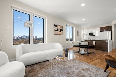 16 Taber St unit 605, Boston, MA 02119 - photo 3