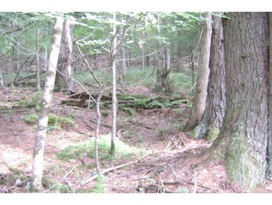 00 Beaver Pond Rd, Lyman, NH 03585 - photo 5