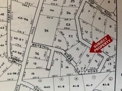 LOT 15 Whitetail Ridge Rd, Bridgton, ME 04009 - photo 2