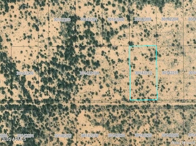 1401 appx E Tamarack Rd, Bowie, AZ 85605 - photo 2