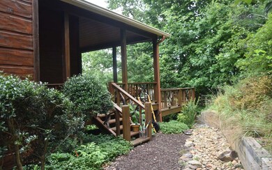 Additional View