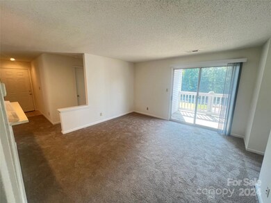 11 Hamiltons Bay Ct unit 845, Clover, SC 29710 - photo 4