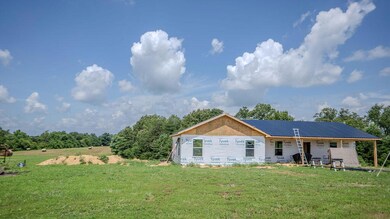 541 Rosemont Rd, Irvine, KY 40336 - photo 5