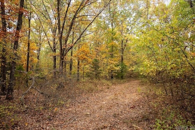 0 Cr 663, Oak Grove, AR 72660 - photo 7