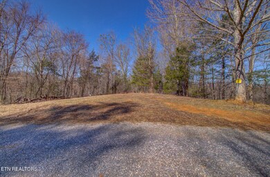 IMG_6972_3_4_5_6_7_8