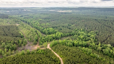 0 Shawmut Rd, Murfreesboro, AR 71958 - photo 7