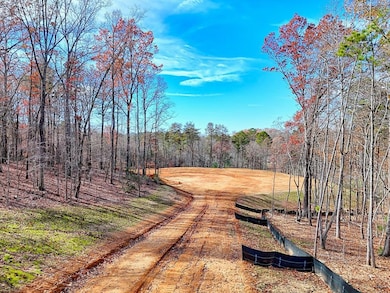 223 Watkins Rd, Blairsville, GA 30512 - photo 2