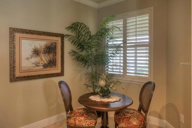 442 Seneca Falls Dr, Apollo Beach, FL 33572 - photo 5