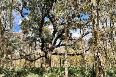 02 Manchac Rd, Saint Gabriel, LA 70776 - photo 2