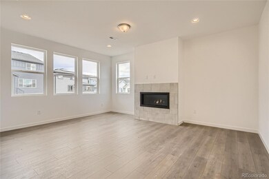 13832 Honey Hush Trail, Parker, CO 80134 - photo 5