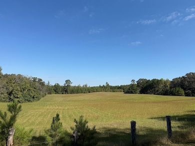 0 Burgess Loop, Middleton, TN 38052 - photo 4