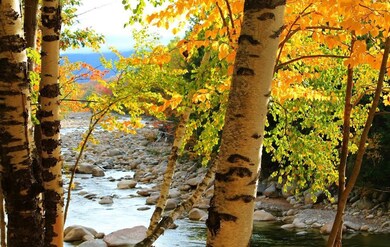 49 Crooked Mountain Rd unit 121-049, Lincoln, NH 03251 - photo 2