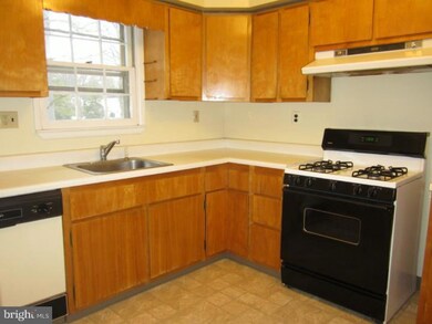 524 Maple Ave unit B, Collingswood, NJ 08108 - photo 5