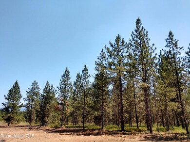 L3B1 N Sheep Springs Rd, Athol, ID 83801 - photo 6