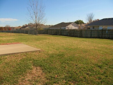 backyard--facing SE