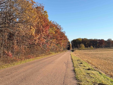 40 acre Tryba Rd, Reid, WI 54440 - photo 5