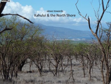 0 Pulehu Rd unit Lot 2 358915, Kula, HI 96790 - photo 2