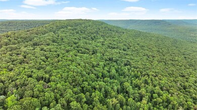 21480 N Highway 71, Winslow, AR 72959 - photo 6