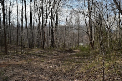 0 Castle Creek Ln, Roseland, VA 22967 - photo 3