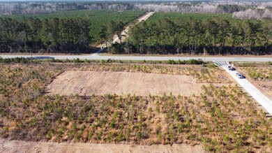 2 S Carolina 6, Cross, SC 29436 - photo 5