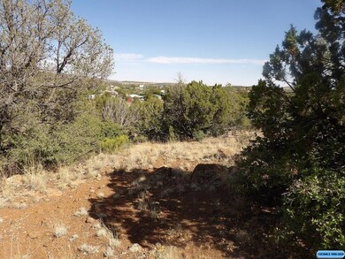 116xx E Highway 180 E unit xx XYZ Rd., Silver City, NM 88061 - photo 7