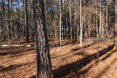 1146 Sutton Spring Rd unit F, York, SC 29745 - photo 3