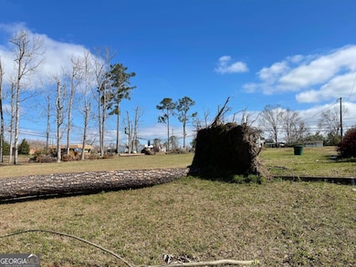 0 E Spring St, Mount Vernon, GA 30445 - photo 3