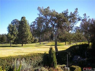 So Many Views  of Fairways