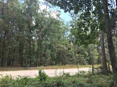 0 Casseaux Rd unit 296333, Crawfordville, FL 32327 - photo 6