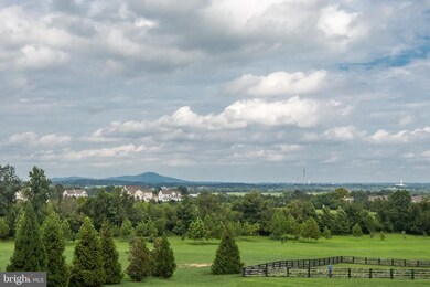 15650 Limestone Branch Place, Leesburg, VA 20176 - photo 3