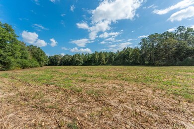 5.65 Acre Prescott Rd, Florala, AL 36442 - photo 7