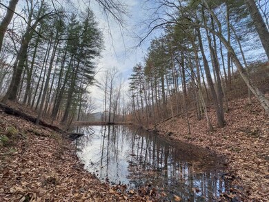 14418 State Route 93, Logan, OH 43138 - photo 5