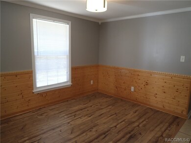 1805 E Amberjack Dr, Hernando, FL 34442 - photo 7