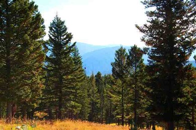 5249 Big Sky Spur Rd, Big Sky, MT 59716 - photo 5