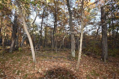 TBD Ranchette Dr, Breezy Point, MN 56472 - photo 2