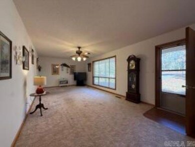 6270 White Dr, Charlotte, AR 72522 - photo 5