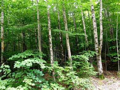 0 Bonney Rd unit 1145846, Sumner, ME 04270 - photo 2