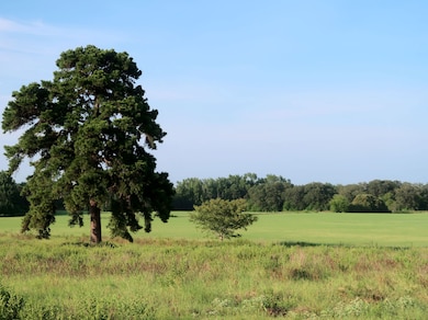 717 County Road 2320, Mineola, TX 75773 - photo 7