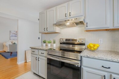 25 Rockland St unit 7, West Roxbury, MA 02132 - photo 7