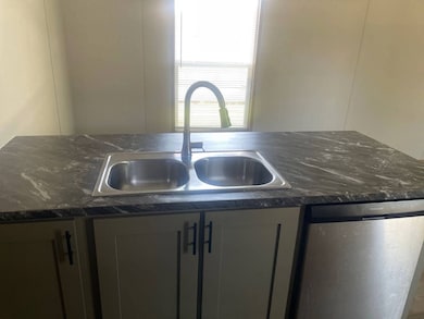 Sink/Dishwasher in Island
