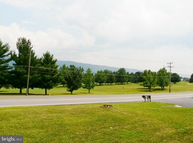 9733 S Congress St, New Market, VA 22844 - photo 6