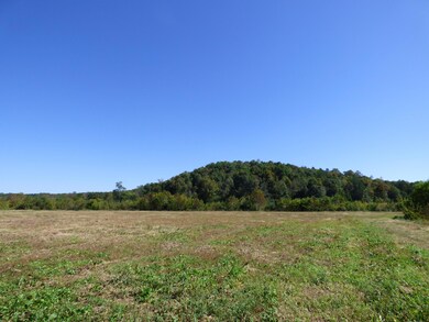 0 Chamberlain Rd unit 1236036, La Fayette, GA 30728 - photo 7