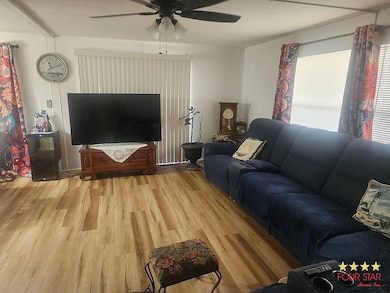 13152 Grape Ave, Grand Island, FL 32735 - photo 4