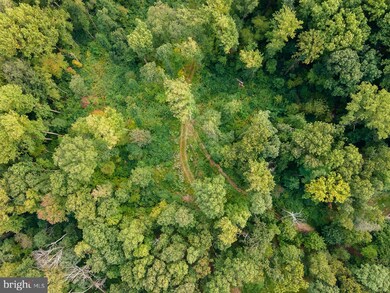 5232 S Mountain Dr, Upper Milford, PA 18049 - photo 5