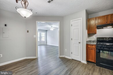 8842 Goose Landing Cir, Columbia, MD 21045 - photo 4