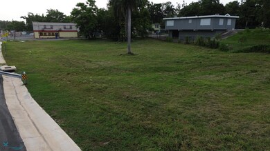 10 Desvio Sur, Aguada, PR 00602 - photo 5