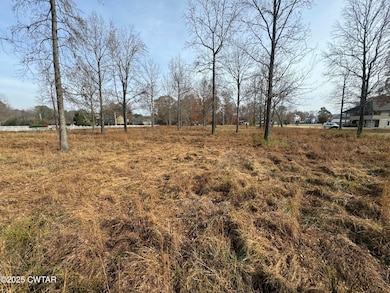 Lot 5 Matlock Dr, Chapmansboro, TN 37166 - photo 4