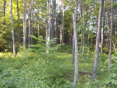 61 Patrician Shores Cir, Meredith, NH 03253 - photo 2