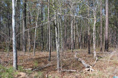 0 Danny Holmans Rd unit 21419252, Rockford, AL 35136 - photo 3