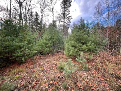 001 Happy Hollow Rd, Union, ME 04862 - photo 6